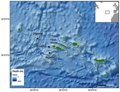 Underwater Ambient Noise in a Baleen Whale Migratory Habitat Off the Azores